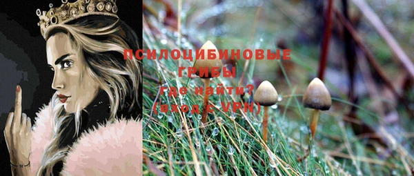 твердый Зеленодольск