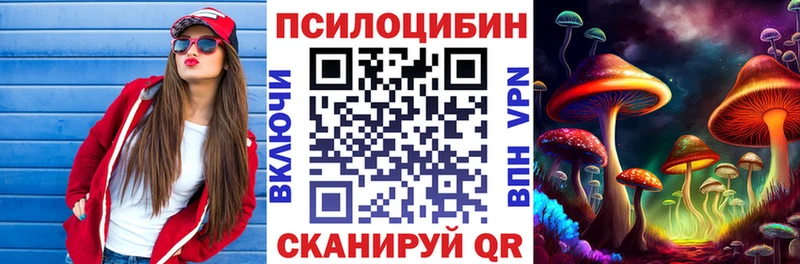 Псилоцибиновые грибы Cubensis  Купить где  Котовск 